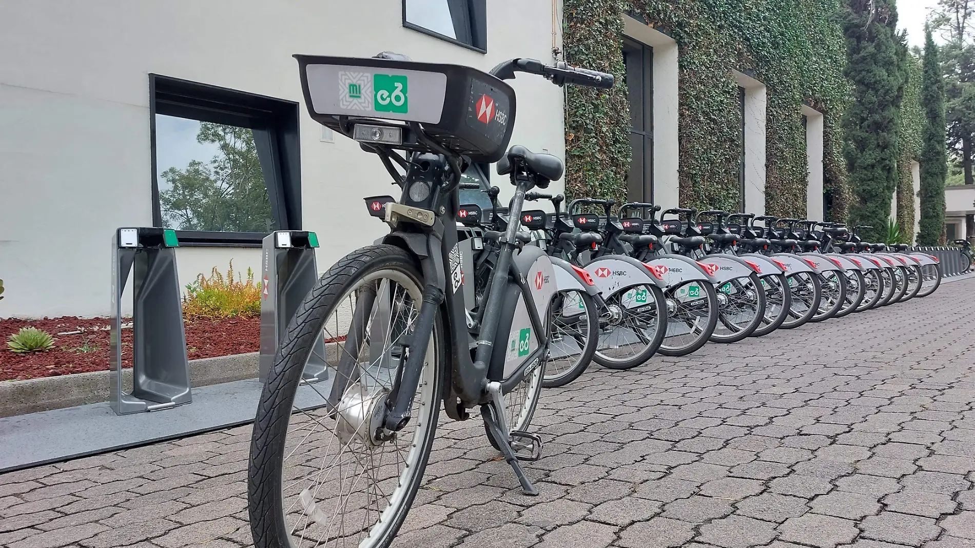 ¡A Los Pinos en ECOBICI! Habilitan dos nuevas cicloestaciones en el Bosque de Chapultepec